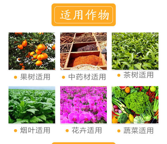 ��(w��n)���ԏͷʢ���25-10-10-�и���ʢ_02