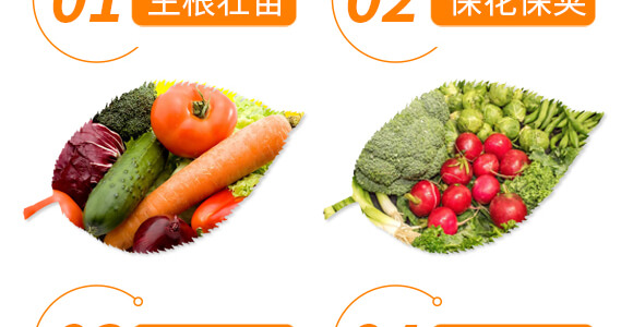 ���ǌ�(zhu��n)�ö�?ji��)M��-������-���r(n��ng)���_06