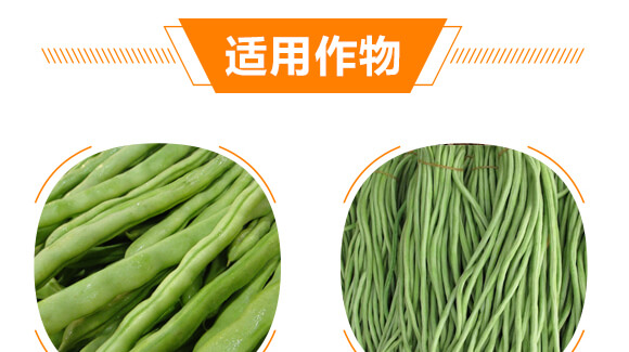���ǌ�(zhu��n)�ö�?ji��)M��-������-���r(n��ng)���_08