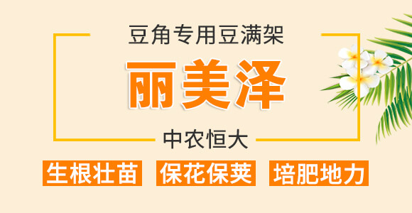 ���ǌ�(zhu��n)�ö�?ji��)M��-������-���r(n��ng)���_01
