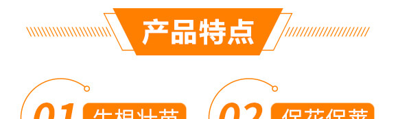 ���ǌ�(zhu��n)�ö�?ji��)M��-������-���r(n��ng)���_05