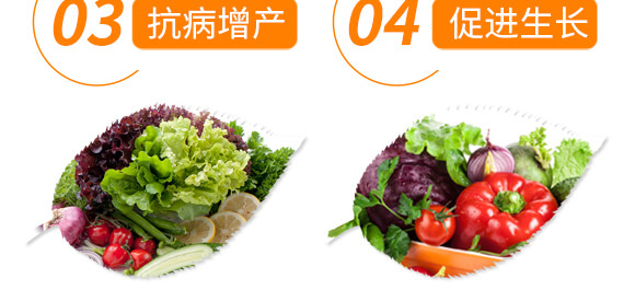 ���ǌ�(zhu��n)�ö�?ji��)M��-������-���r(n��ng)���_07