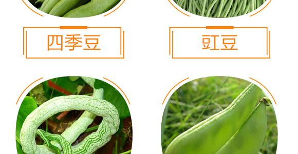 ���ǌ�(zhu��n)�ö�?ji��)M��-������-���r(n��ng)���_09
