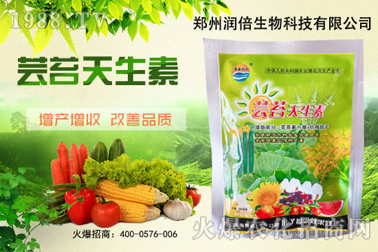 �S�B������ô�������S�B���ڲ��x��������
