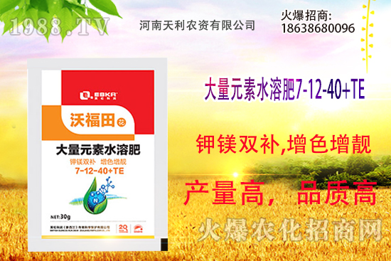 ��피t��ô�B(y��ng)����피t���B(y��ng)ֳ������ע�����(xi��ng)��