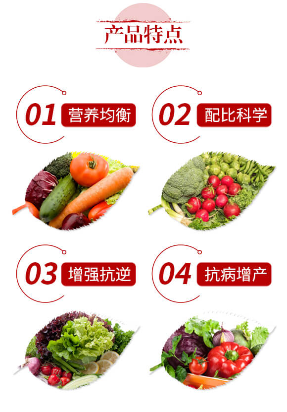 �����{�턩-�S���}-��ؐ��_03