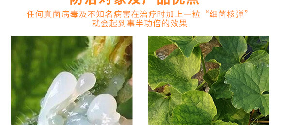 �r(n��ng)��ڈ@���＼�g(sh��)���޹�˾1_09