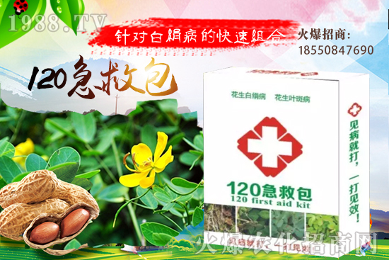 �ȹ����緽������Щ���ȹ���ô���Զ�ֲ��