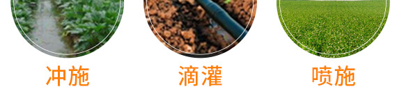 ����Ԫ��ˮ�ܷ�-���W����_10