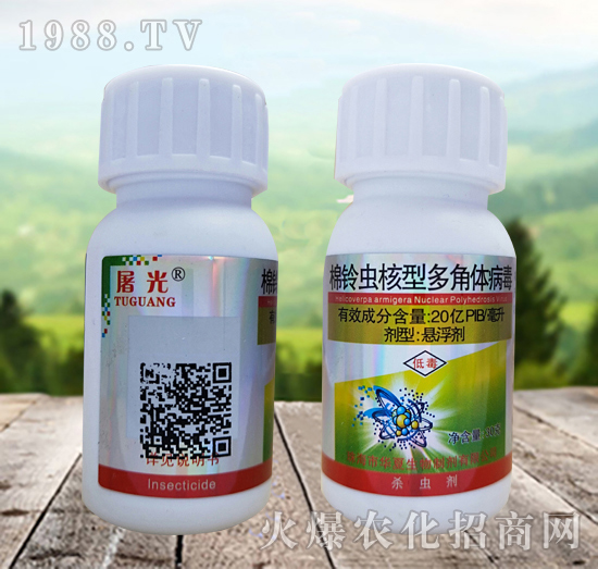 ����x���Ͷ���w������ʲô�x��Ч����ô�ӣ���ô�x����