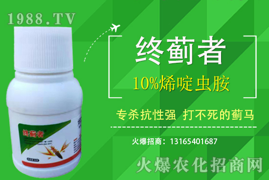 10%ϩ��x���ܴ��E�R������ʲô���c��10%ϩ��x��ʹ��ע�������