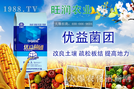 �����ЙC(j��)����ʲô���������ЙC(j��)�ʵă�(y��u)�����c�������ϵą^(q��)�e��