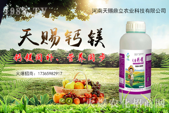 ���n������ʲô��(y��u)�������n�������Ʈa(ch��n)Ʒ����Щ��