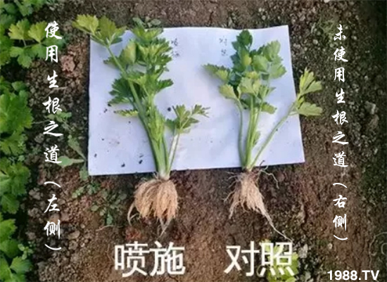 �����ϵ��a(ch��n)������������֮���������¸����������a(ch��n)�o�n��