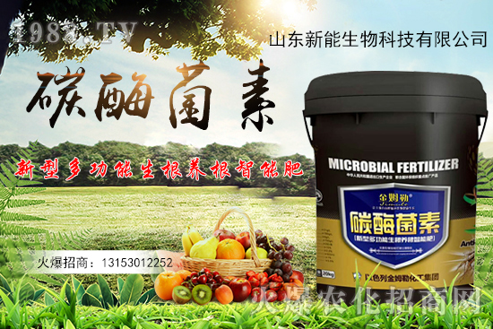 һ�ʶ������ЙC(j��)̼+����ø+�����+�I(y��ng)�B(y��ng)Ԫ����̼ø������ʲô������
