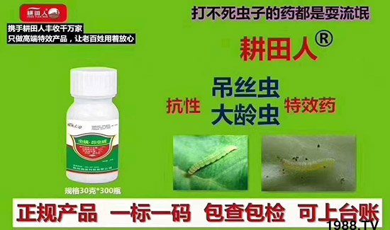 ����Ʒ�r(n��ng)ˎ�������¼Z�}(c��ng)����(r��n)��������ô�������x(ch��ng)���a(ch��n)Ʒ����Щ��