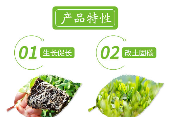 �VԴ�S�����-��ɫ����-��(��i)�r(n��ng)˹�_(d��)_04