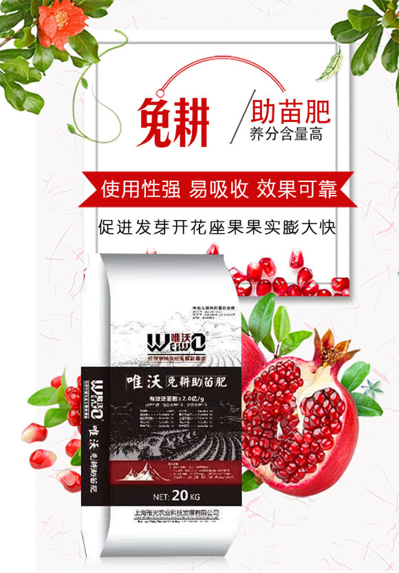 ��������-Ψ��-�Ź��r(n��ng)�I(y��)_01