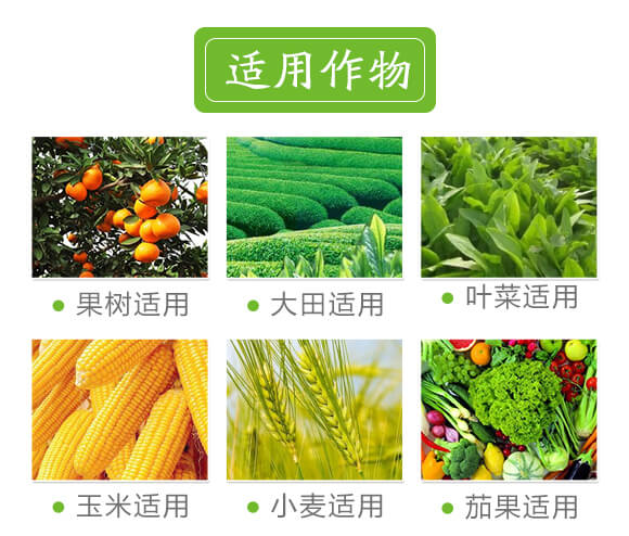 �VԴ�S�����-��ɫ����-��(��i)�r(n��ng)˹�_(d��)_07