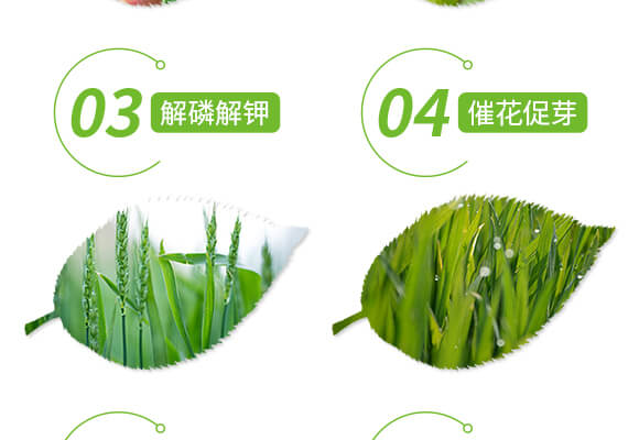 �����ޏ�(f��)��-����-��(��i)�r(n��ng)˹�_(d��)_05