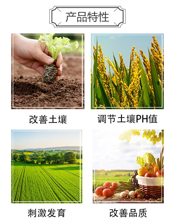 ����ͺϷ�15-10-15-Ψ��-�Ź��r(n��ng)�I(y��)_03