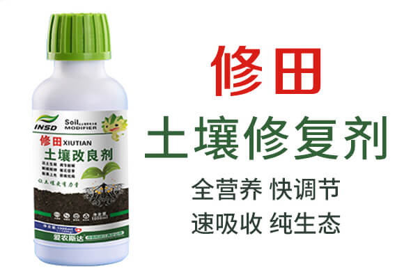 �����ޏ�(f��)��-����-��(��i)�r(n��ng)˹�_(d��)_03