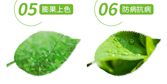 �����ޏ�(f��)��-����-��(��i)�r(n��ng)˹�_(d��)_06