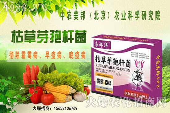 枯草芽孢桿菌治根腐病嗎，防治哪些土傳病害？防治對(duì)象有哪些？