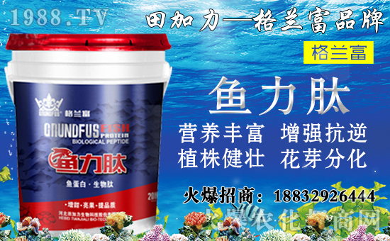 ���䌦�B(y��ng)���������c(di��n)����Щ������ʩ���`�^(q��)�����_ʩ�ʷ�����