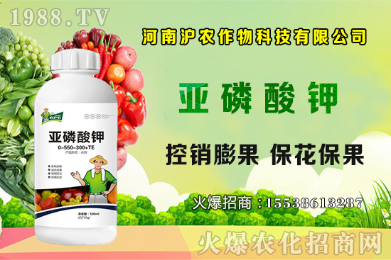 ���[����Ҫ�c(di��n)��֪���᣿���[��Ҋ���x������Щ����η�����