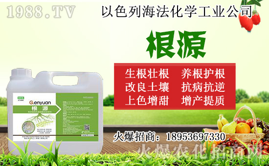 �o������ôǤ�壿�o����Ǥ��r(sh��)�g��Ǥ�己ֳ������