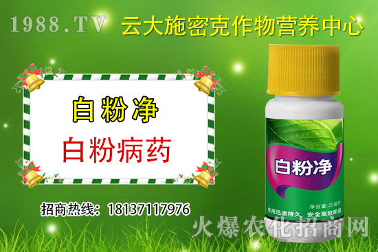 ʲô��ֲ��Դ�r(n��ng)ˎ��ֲ��Դ�r(n��ng)ˎ�c���W(xu��)�r(n��ng)ˎ�^(q��)�e������