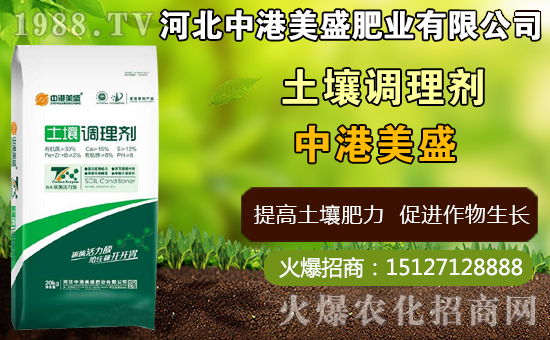 ��ˎ̫�Ӆ�ʲô�r(sh��)�g�Nֲ��̫�Ӆ�ʲô�r(sh��)���ի@���ã����Nֲ���g(sh��)��