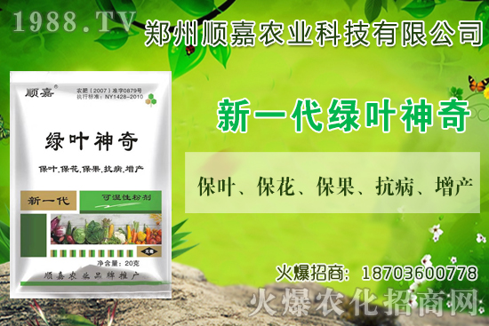 С���r���B�B�ϝq���F(xi��n)��һ������X��