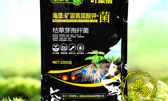 ����VԴ�S����⛡���-�~����-Ӣ����_02