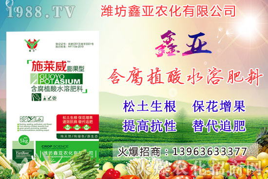 �Zʳ�q�r(ji��)��20209��17��С���r(ji��)�����������