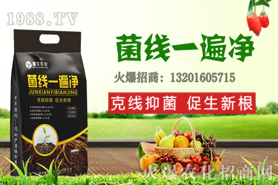 9��19��С���r����£��q�����F(xi��n)��