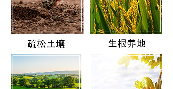 ���ܽ����@18-18-18-�����r(n��ng)�I(y��)_05