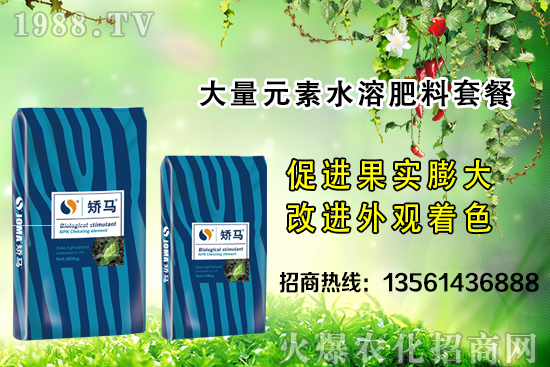 �＾����(sh��)ʩ�ʵĺ�̎����Щ���＾����(sh��)ʩ��ָ��(d��o)������