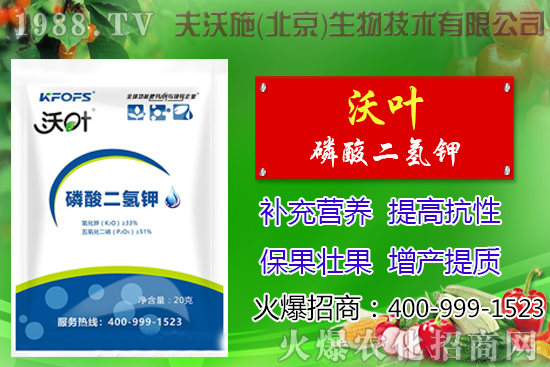 ���t��ժ�~����Щ��̎������ժ�~���g(sh��)��ע�����(xi��ng)��