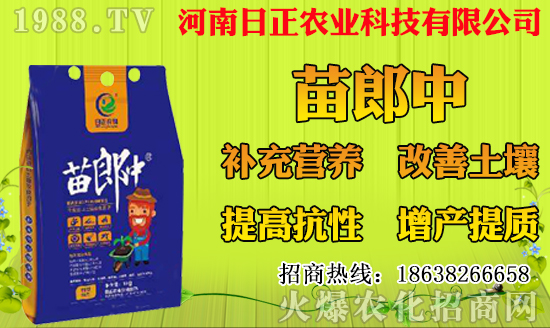 ���}�Nֲ��ýY(ji��)����һ��Y(ji��)�״ι������}�Nֲ���g(sh��)Ҫ�c(di��n)��