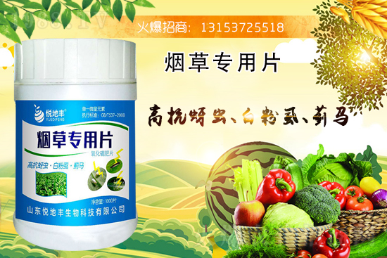 ���݌�(zhu��n)��Ƭ����ʲô���������݌�(zhu��n)��Ƭ��ʲô���c(di��n)��