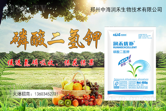 果樹一整年到底該怎么施肥？果樹施肥注意事項有哪些？