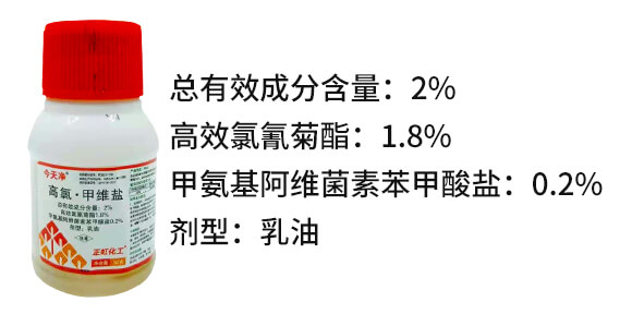 2%���ȡ��׾S�}-�����-������_02