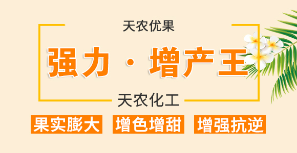 ������������-���r����(y��u)ؐ-���r����_01