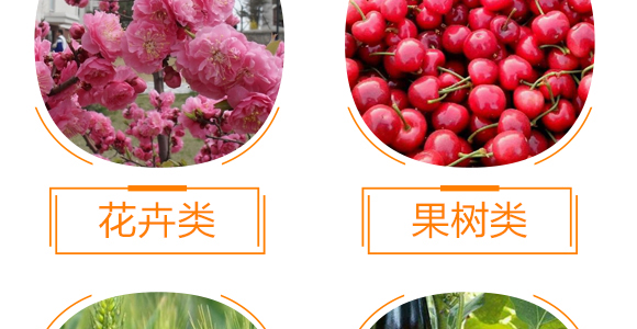 ��(qi��ng)����������-���r(n��ng)����(y��u)ؐ-���r(n��ng)����_10