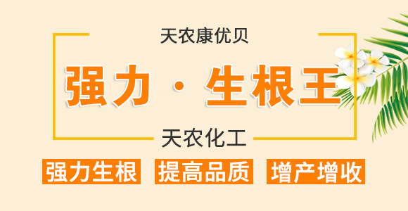 ������������-���r(n��ng)����(y��u)ؐ-���r(n��ng)����_01