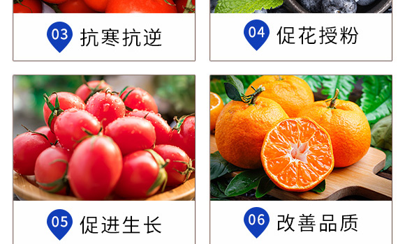 ֲ�￹��������-Ӣ���~��(r��n)_07