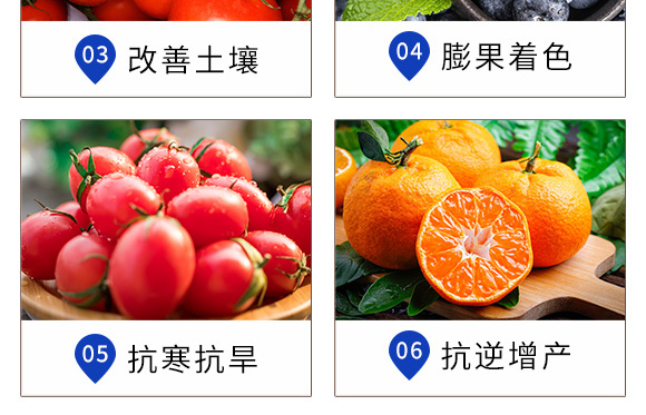 磷酸二氫鉀-英普葉潤_07