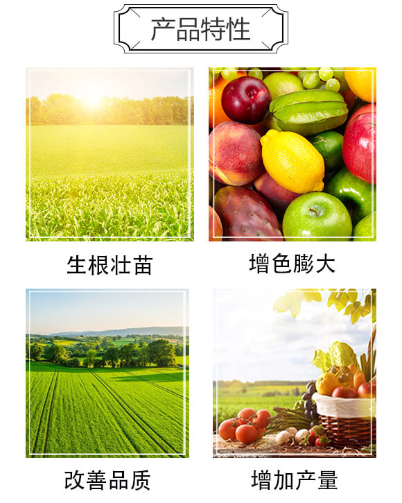 ���}��⛝�sҺ-�}������-������(y��u)��_03